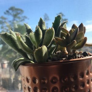 Meet your Posher, Katy